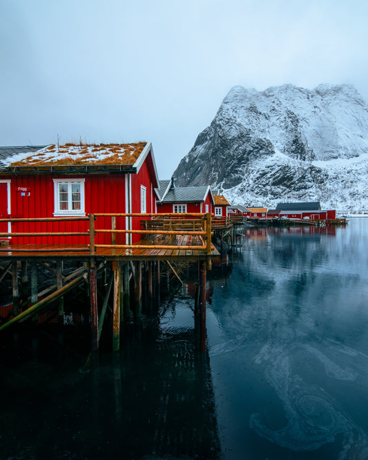 Arctic reflections