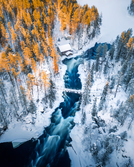 Arctic Solitude