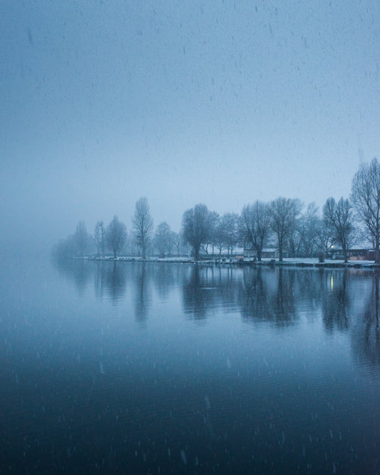 Silent Snowfall